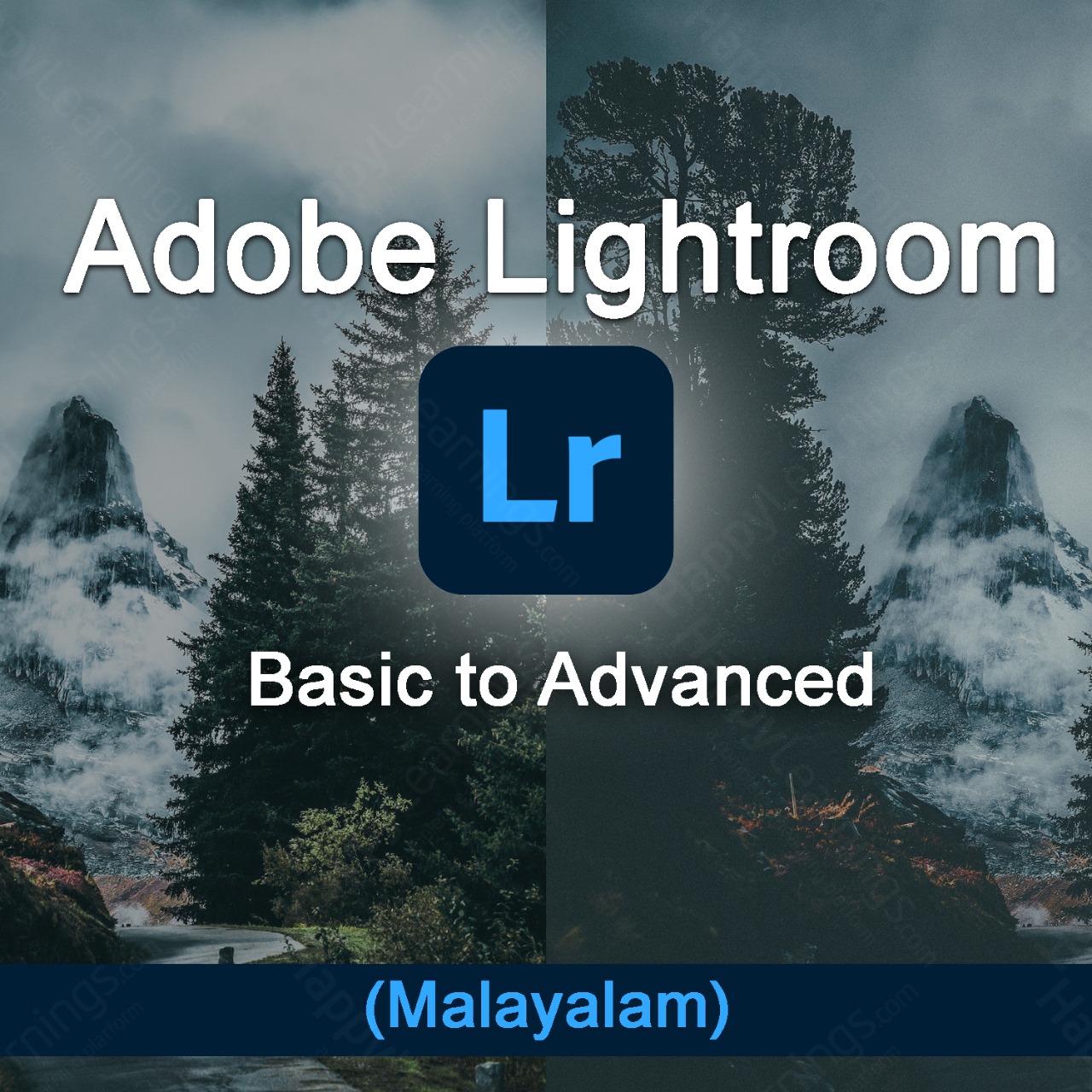 Adobe Lightroom Masterclass- Beginner to Expert